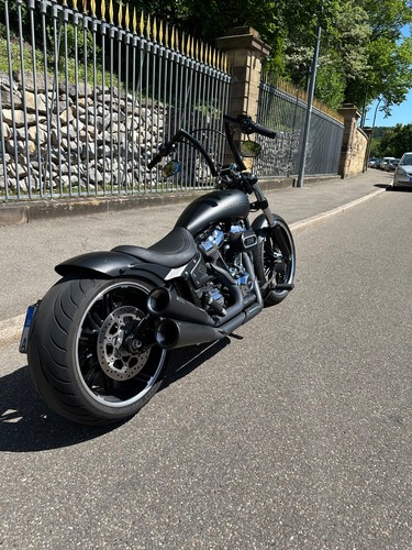 Harley davidson softail - davidson,