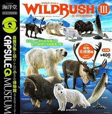 Capsule Q Museum WILD RUSH III