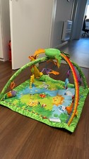Fisher-Price Baby Gym Regenwald Gebraucht