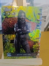 2025 Topps Chrome Cactus Jack