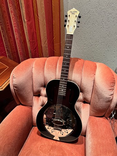 Dobro recording king dirty 30s - dobro,