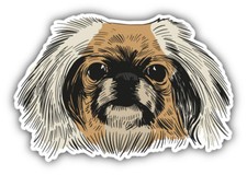 Car Sticker Pekingese Dog Head