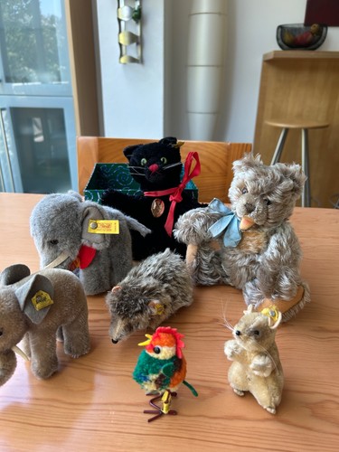 Steiff konvolut aus den 60 - steiff, 50/60