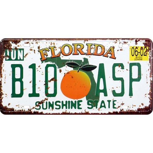 Florida b10 asp auto - florida,