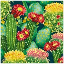 20 Servietten Vibrant Cacti Lebhafte Kakteen Pflanzen Blüten Mediterran 33x33cm