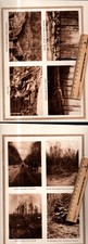 Remy vaux - ,