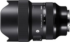 Sigma 14-24mm F2 , 8 DG DN Art