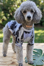 Stylischer Hunde-Hoodie