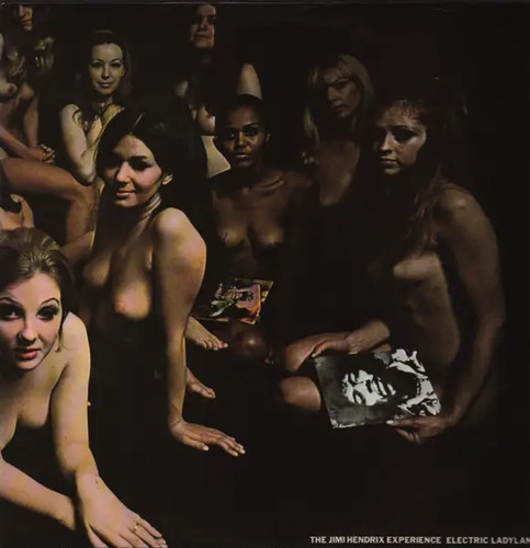 The jimi hendrix - jimi,