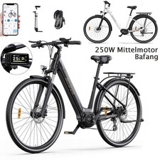 250W Mittelmotor