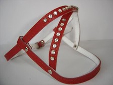 HUNDEGESCHIRR - Geschirr