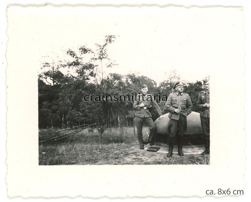 Orig foto maginotlinie - foto,