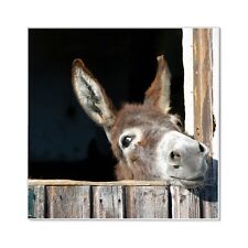 banjado Design Memoboard