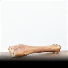 Lammknochen - 20Stk. Leckere