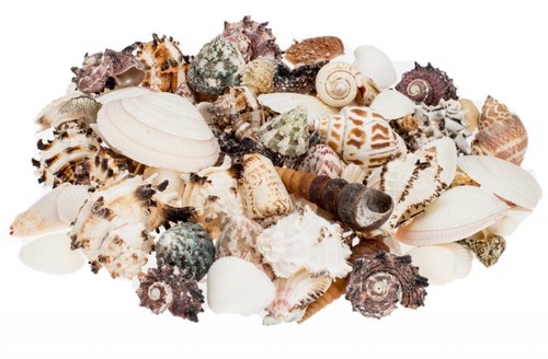 Nadeco muschelmix large - nadeco,
