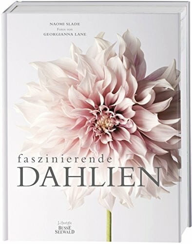 Faszinierende dahlien buch - dahlien,