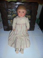 Schildkröt Klein-Erna