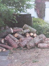 Stammholz/Nadelholz/ Brennholz