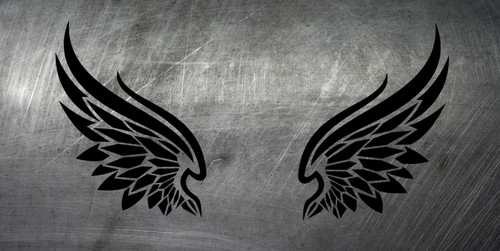 Flügel wings angel auto - flügel,