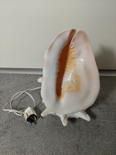 Vintage tischlampe muschel - vintage,