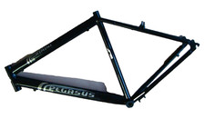 Fahrradrahmen 28 Zoll Pegasus