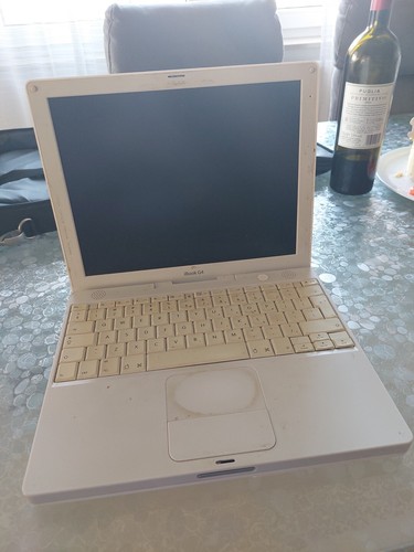 Vintage ibook with charger - vintage, g4