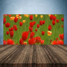 Küchenrückwand aus Glas ESG