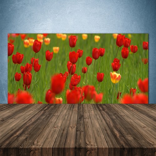Küchenrückwand aus glas esg - küchenrückwand,
