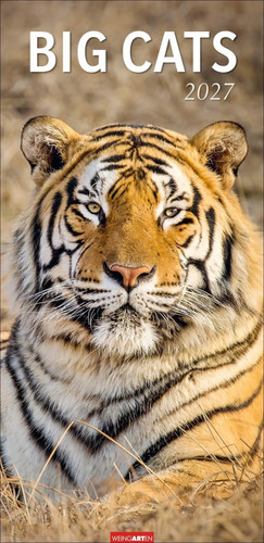 Big cats kalender 2027 - 2027, |