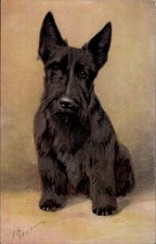 Künstler Ak Bivet, Scotch Terrier - 4421449