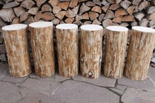 XXL Baumstamm Holzstamm # 40 cm-53 cm hoch # Blumensäule Katzenbaum Holzhocker