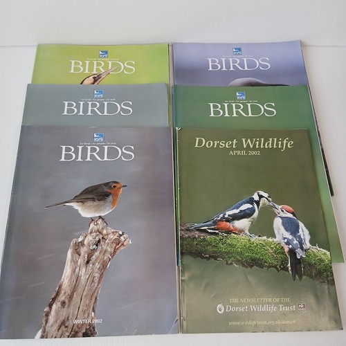 Rspb birds dorset wildlife - birds,