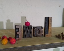 Alte Lettern LOVE Holzlettern