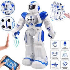 Intelligente RC Roboter