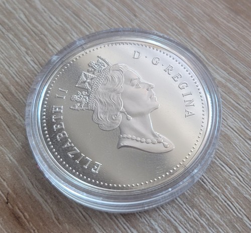 Kanadischer silberdollar 1994 - kanadischer,