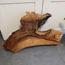Deko WURZELHOLZ  WALNUSS  Baumscheibe, Holzscheibe, Nussbaum Ca 77x45cm  