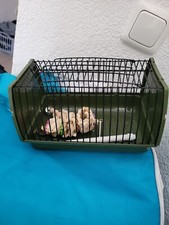 Trixie Transportbox für kleine Vögel, diverse Größen, NEU