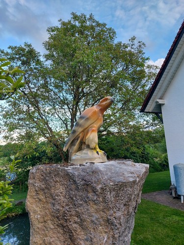 Hirschau grosser adler - hirschau,