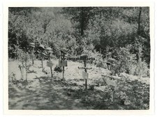 Orig. Foto Grab deutsche