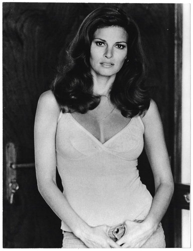 Raquel welch portrait - raquel,