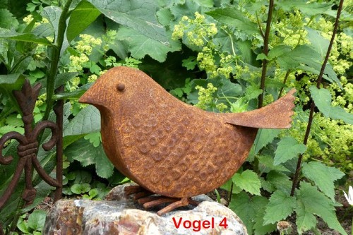 Ausgefallene dekorative vogel - ausgefallene,