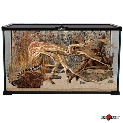 Repti planet terrarium - repti,