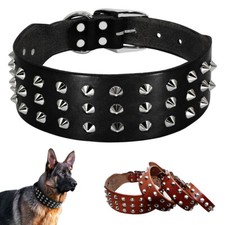 Lederhalsband hund breit luxus - lederhalsband,