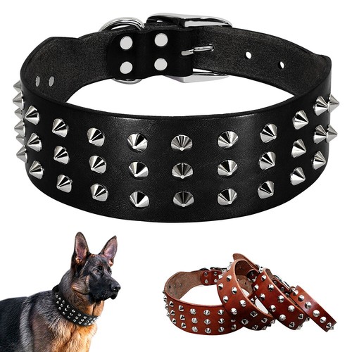 Hundehalsband nietenhalsband - hundehalsband,