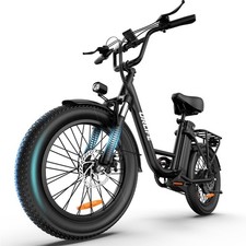 URLIFE 20 Zoll Fatbike E-Bike