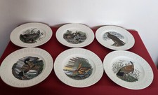 John James Audubon Teller