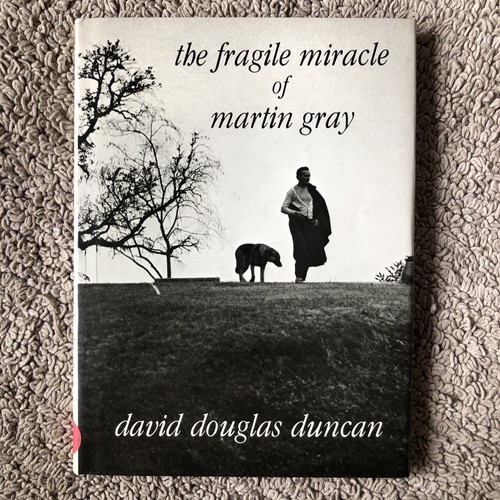 Fragile miracle martin - miracle, gray