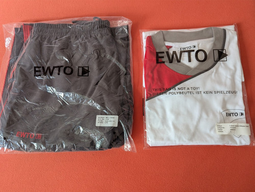 Ewto wing tsun - wing,
