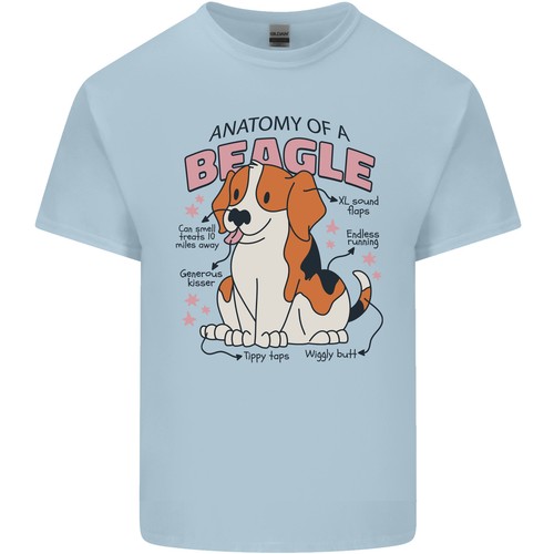 Beagle körperbau lustige hund - beagle,