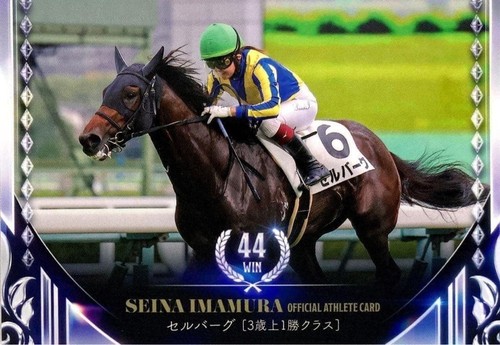 Sena imamura 2023 regular card - 2023,